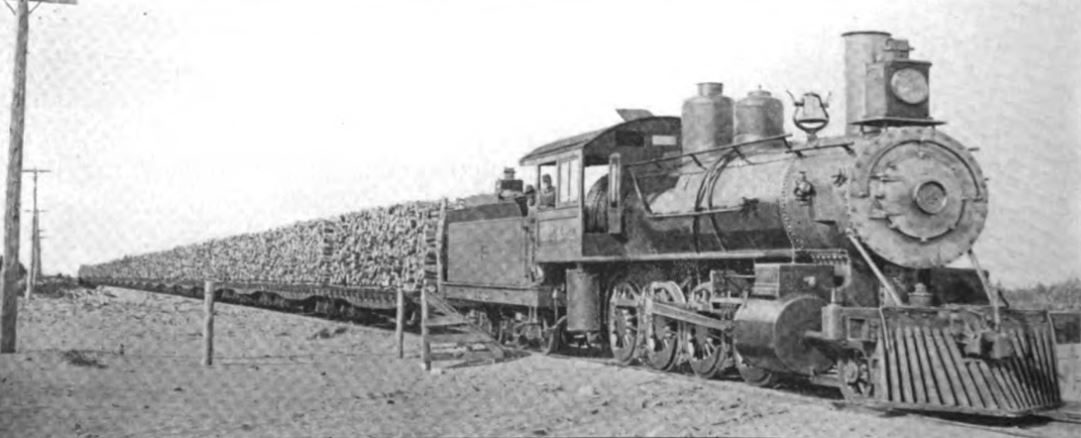 LS&I lumber train
