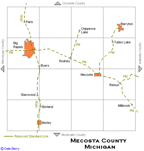 Mecosta County Map