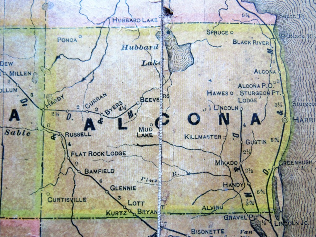 Alcona County Map