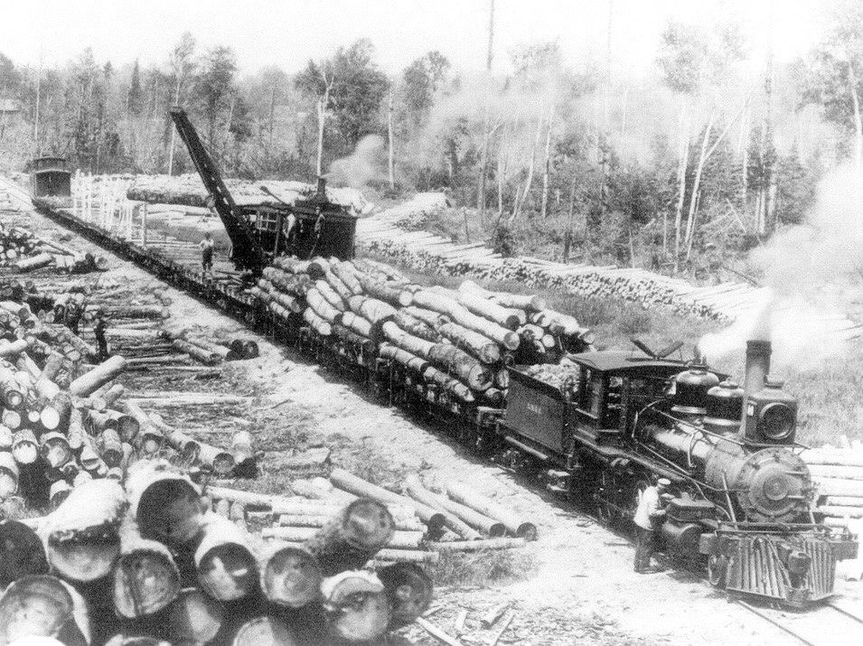 Logging Train at Bryan MI
