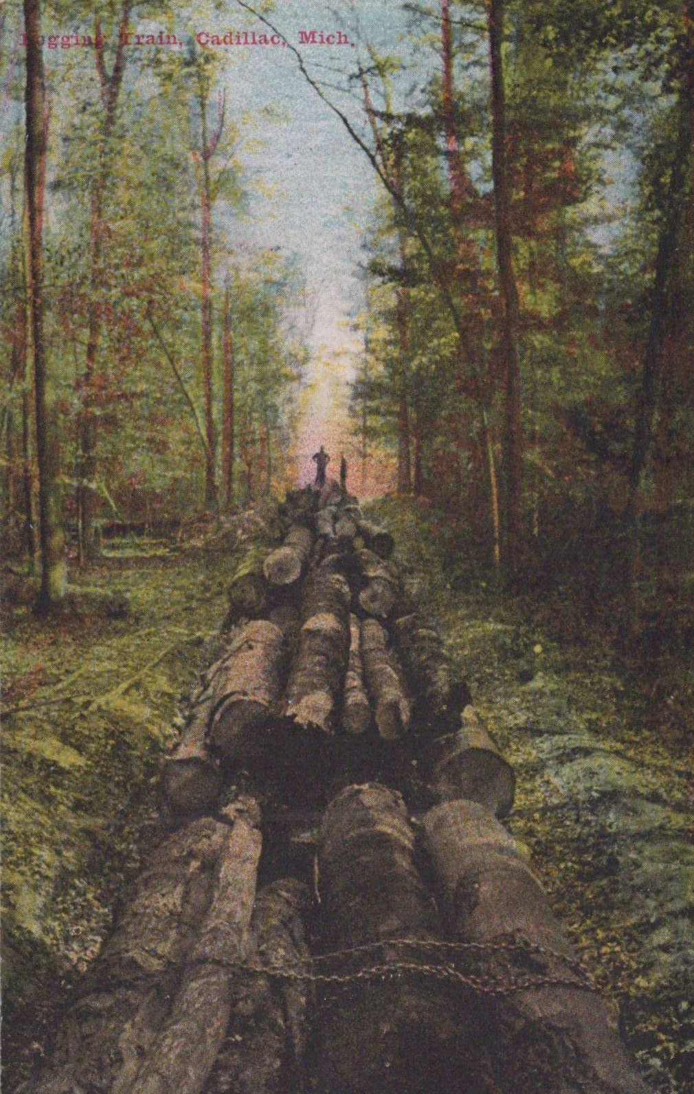 Logging train near Cadillac