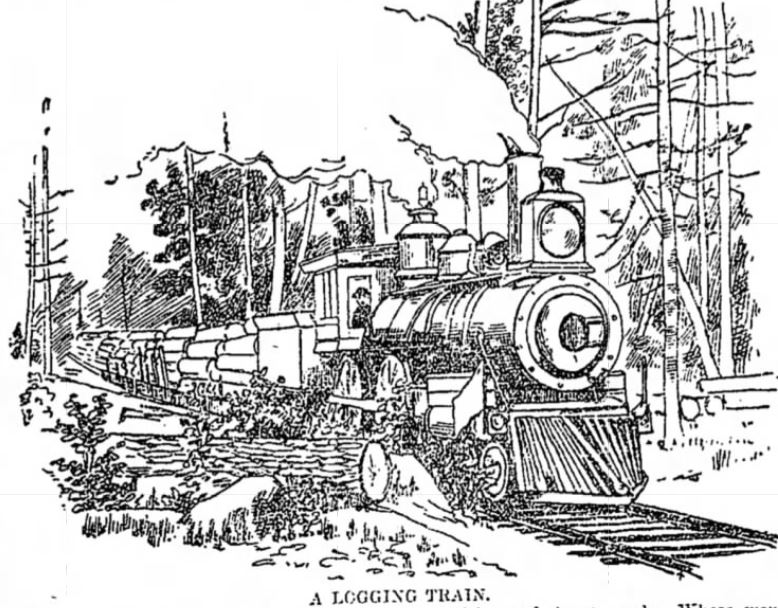 Northern Michigan Logging Train