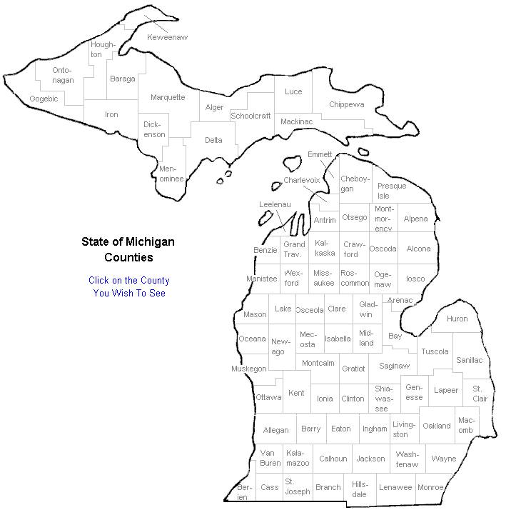 Michigan County Map